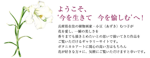 ボタニカルアート画家・小豆むつ子
